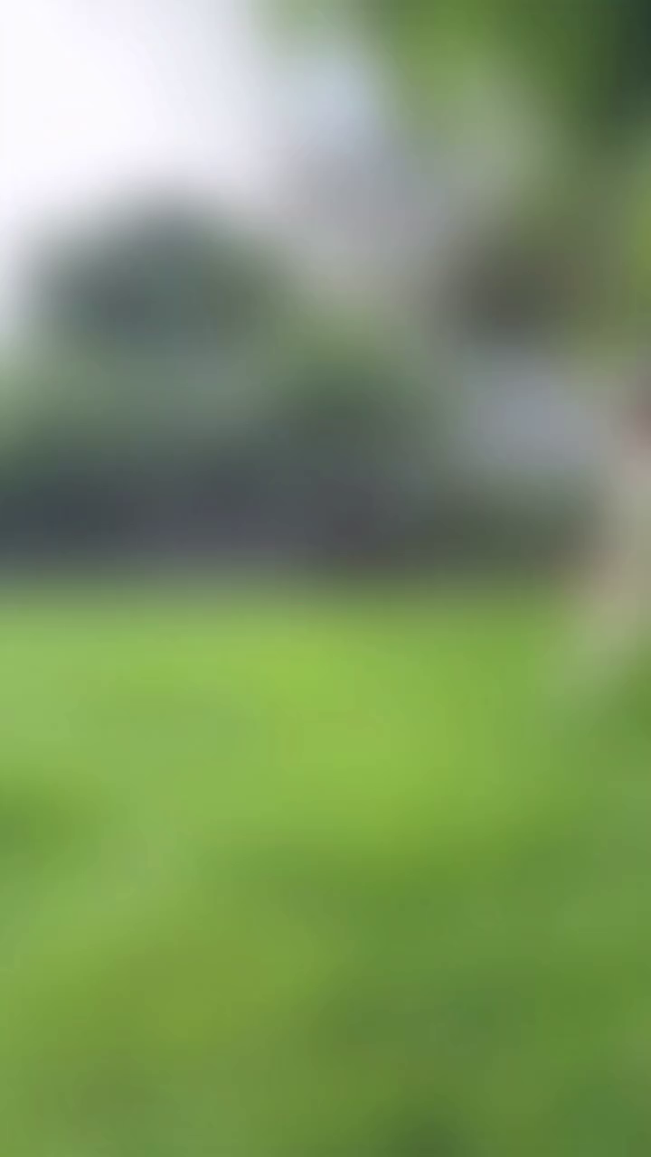 WH008 KOL video 3