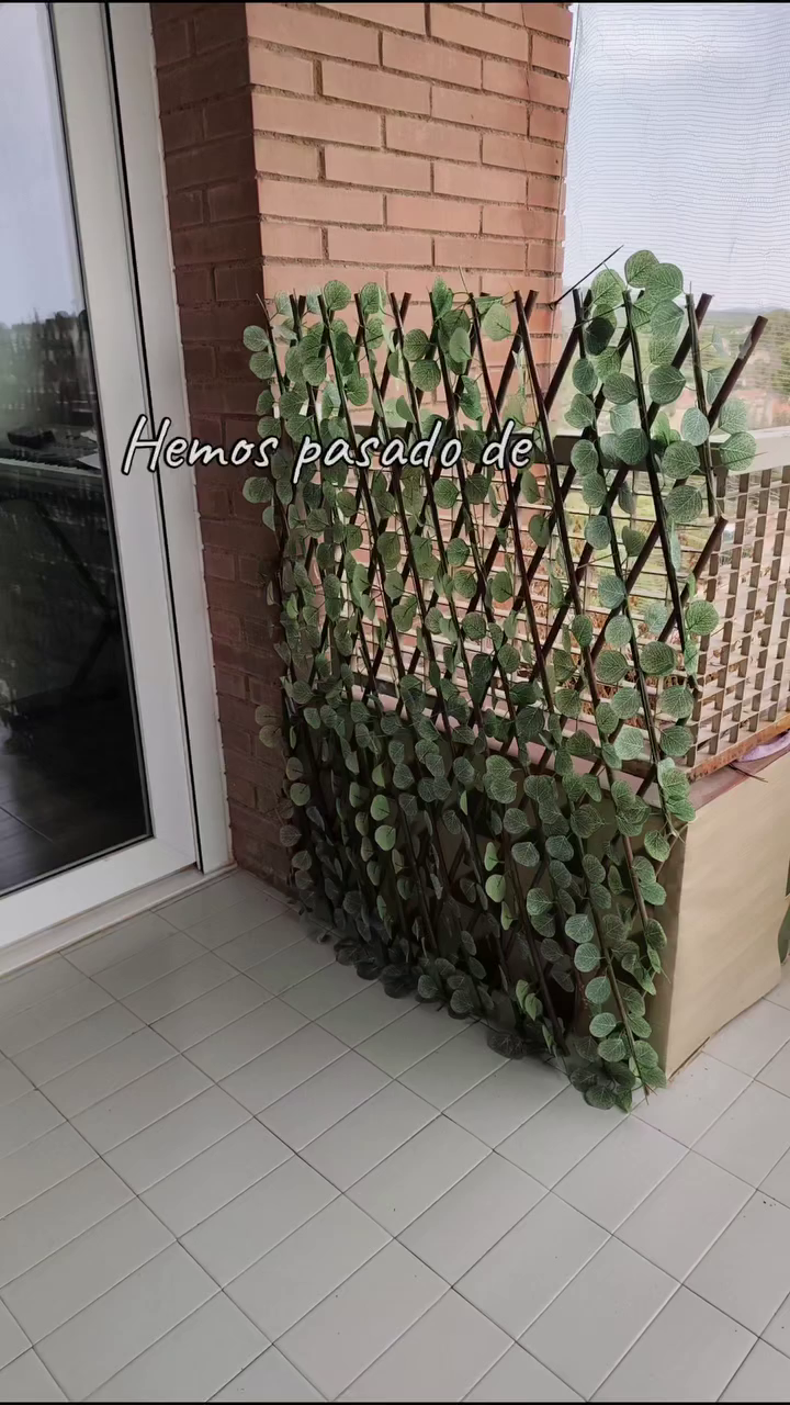 WH005 KOL video 2