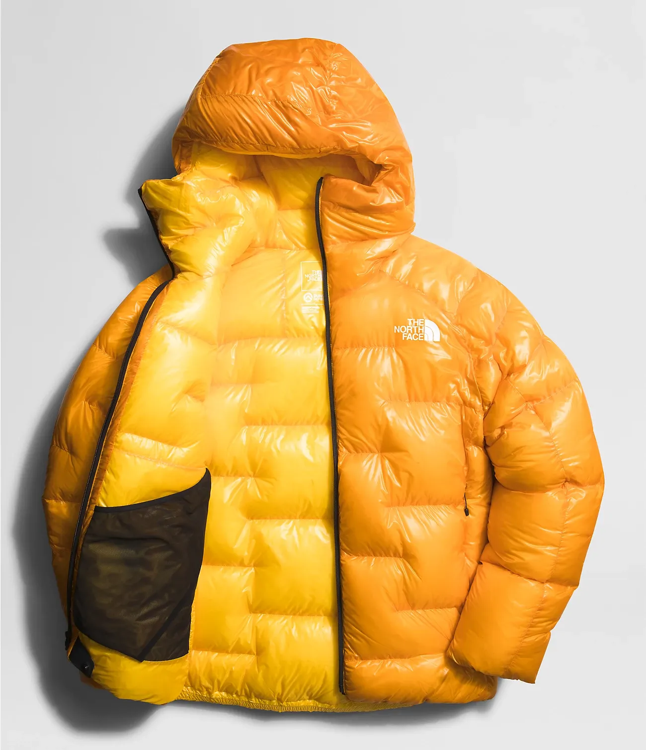 Men’s Summit Series Pumori Down Parka