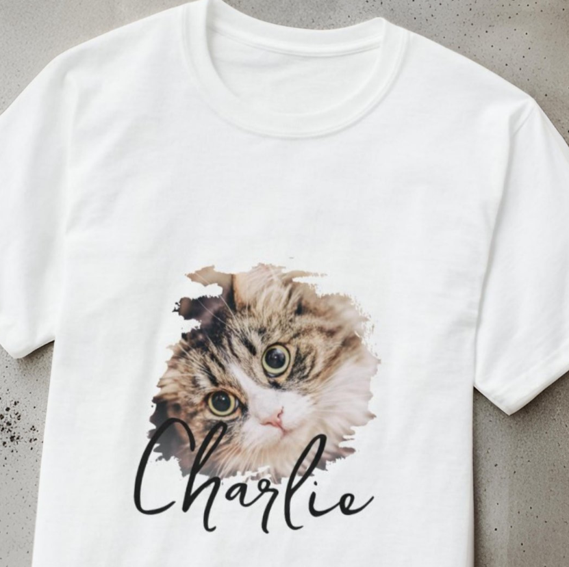 1d541a5af2575a3af6ad106572c79845