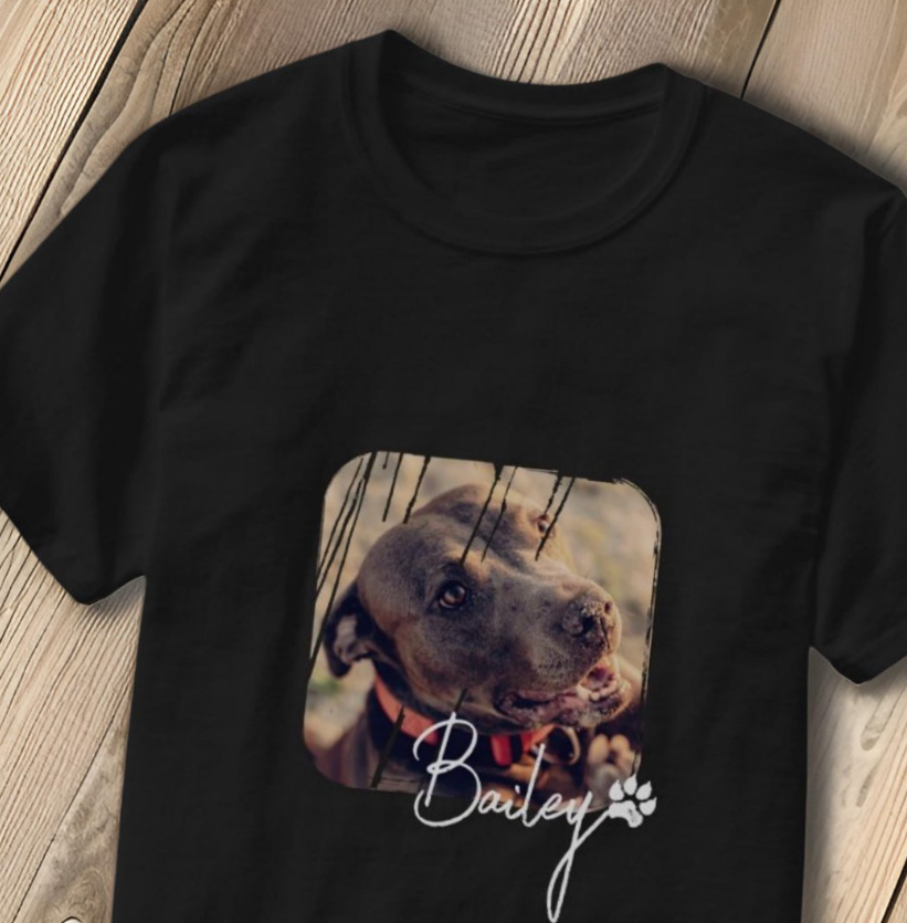 84f3fedad82228f8cdc55a80a6ec2d7d