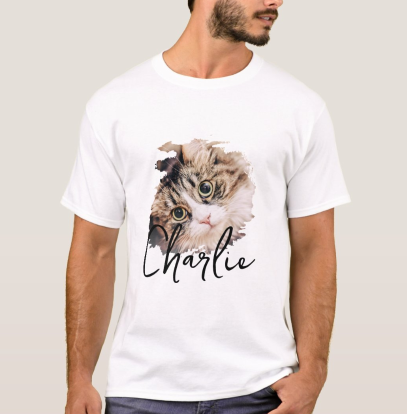 fe30cdf9385a06affaaf7626a3a065cf