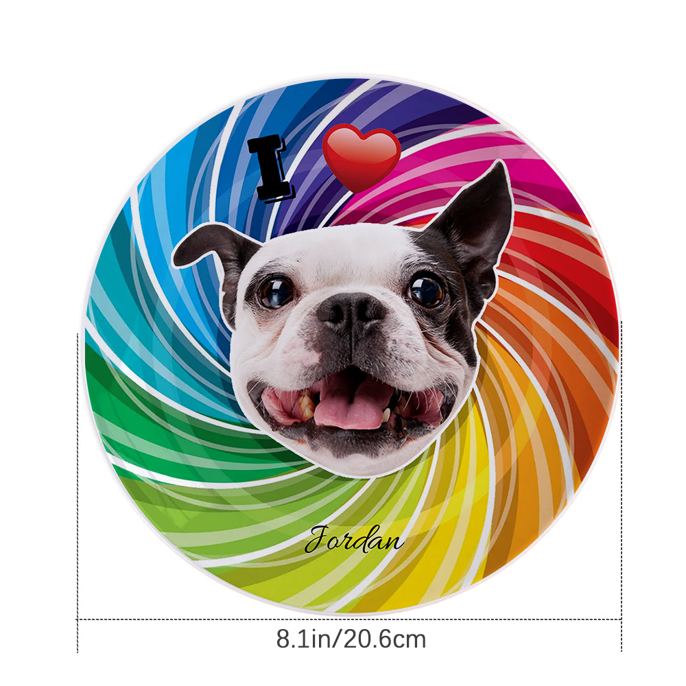 Custom Dog Face Colorful Ceramic Dinner Plate Dinnerware For Pet