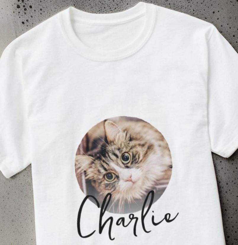 bcea479fbc3e66addf1b82ca2ea14c9f