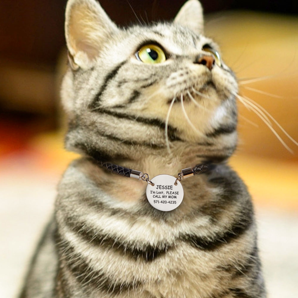 Personalized Collar Engraved Metal Pendant Leather Pet Collar Lovely Pet Gift for Pet Lovers