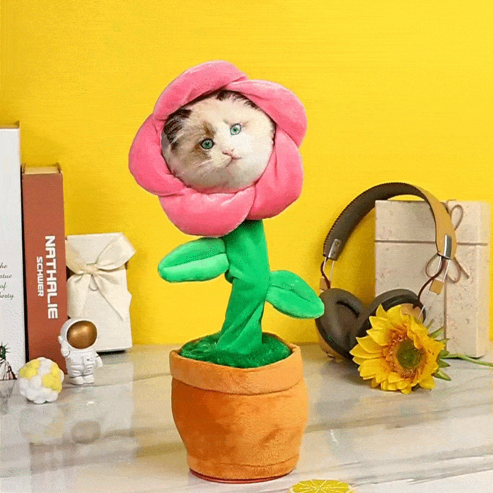 Custom Photo Dancing Plant Recording Music Toy Flower Singing Sunflower