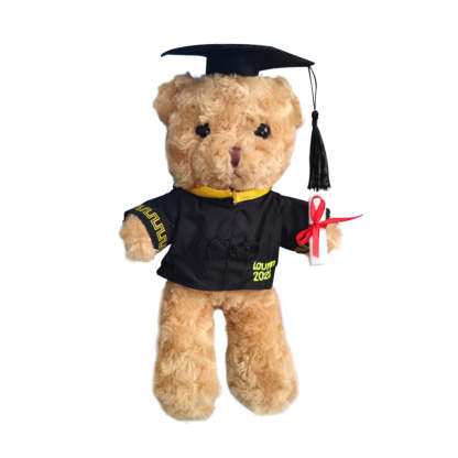 Personalized Graduation Bears Plush Stuffed Animal Bear for Graduation Gift