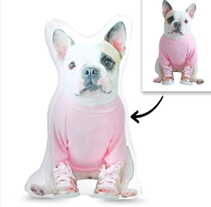 Custom Photo Pillow, Custom Face Pillow, 3D Portrait Pillow