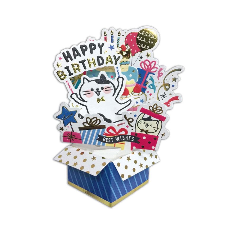 Creative 3D Pop Up Greeting Card Birthday Cat Box Pop Up Card