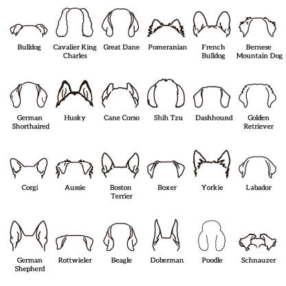 Custom Dog Ear Sweatshirt Personalized Embroider Dog Hoodie Gift for Dog Lovers