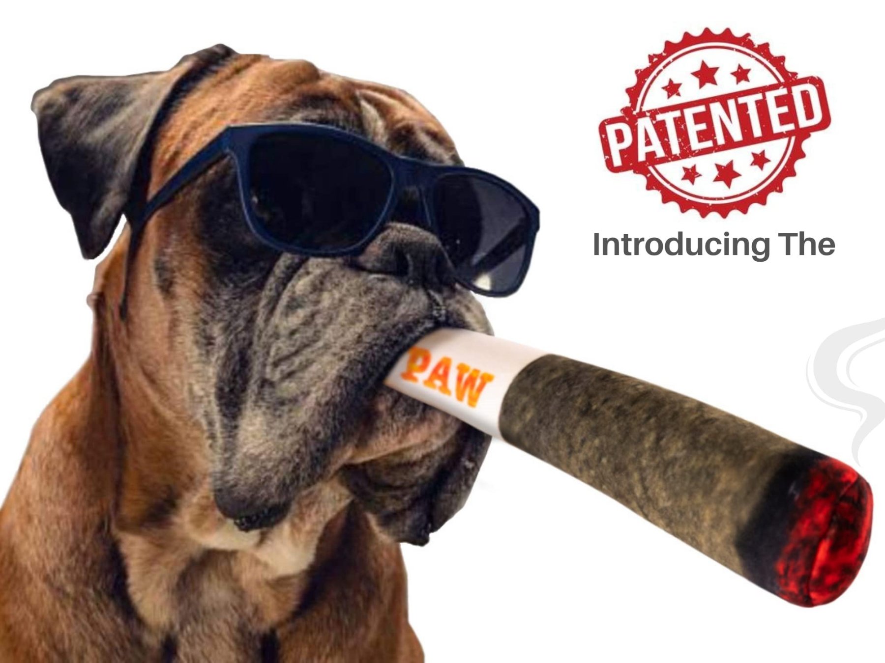 🐶The Doobie Paw - 2024 Funniest Pet Toy🚬