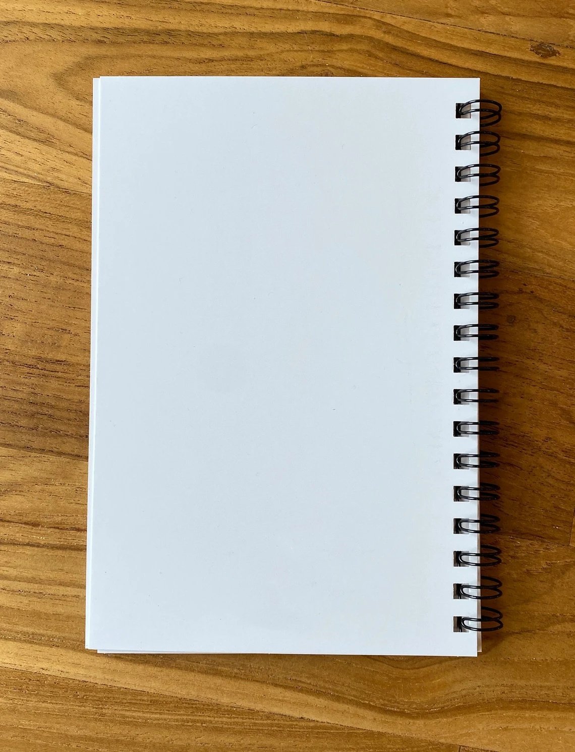 🙏Ordinary of the Traditional Latin Mass in English & Latin