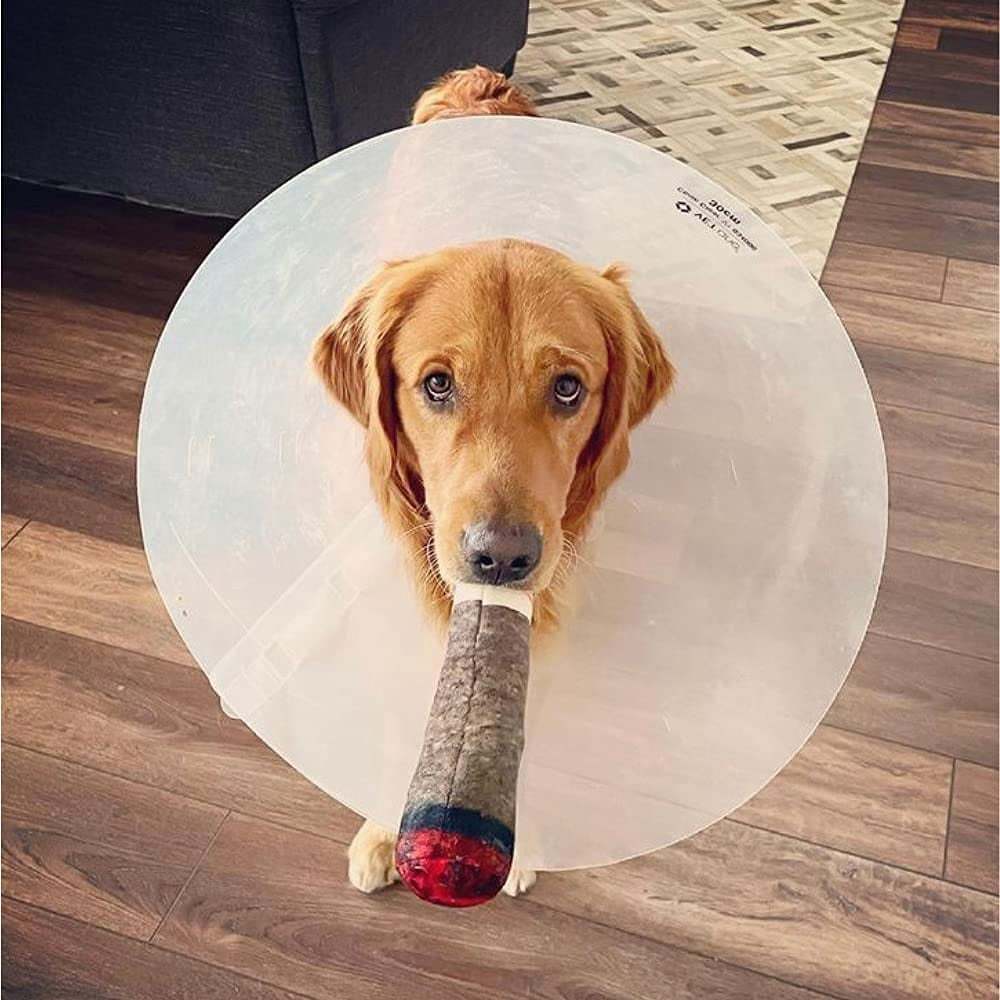 🐶The Doobie Paw - 2024 Funniest Pet Toy🚬