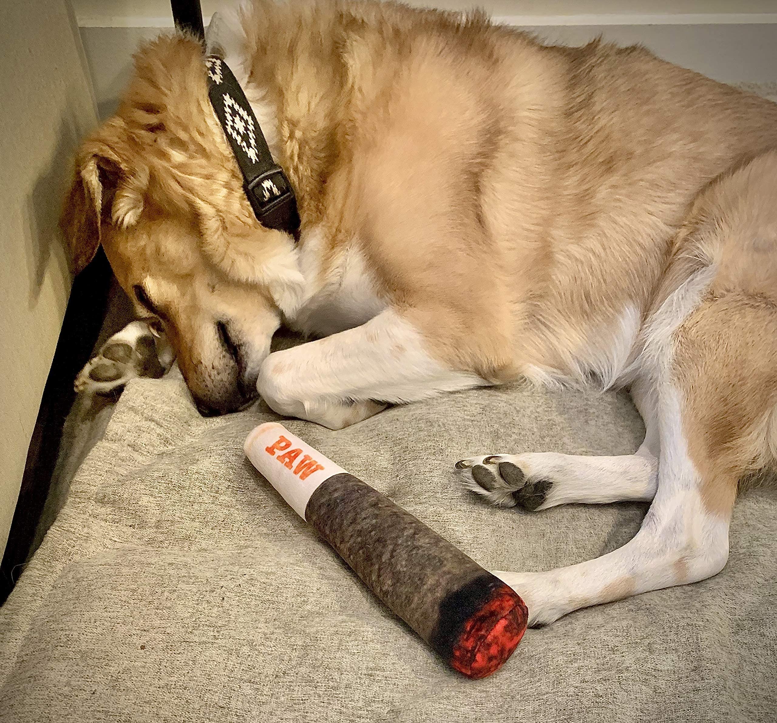 🐶The Doobie Paw - 2024 Funniest Pet Toy🚬