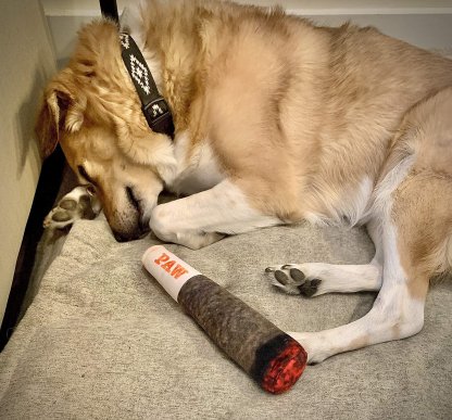 🐶The Doobie Paw - 2024 Funniest Pet Toy🚬