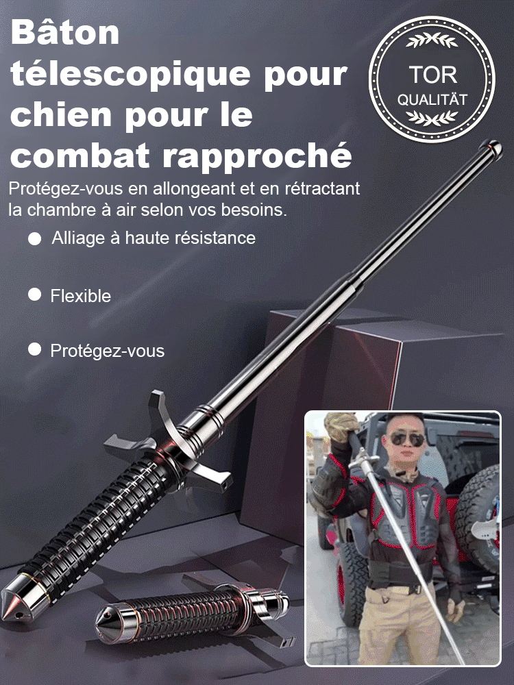 Bâton d'escalade télescopique near War artefact