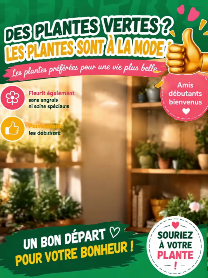  [Floraison même à 40°C] Bulbe de Rose du désert à fleurs doubles | Boutons inclus pour une floraison en 25 jours