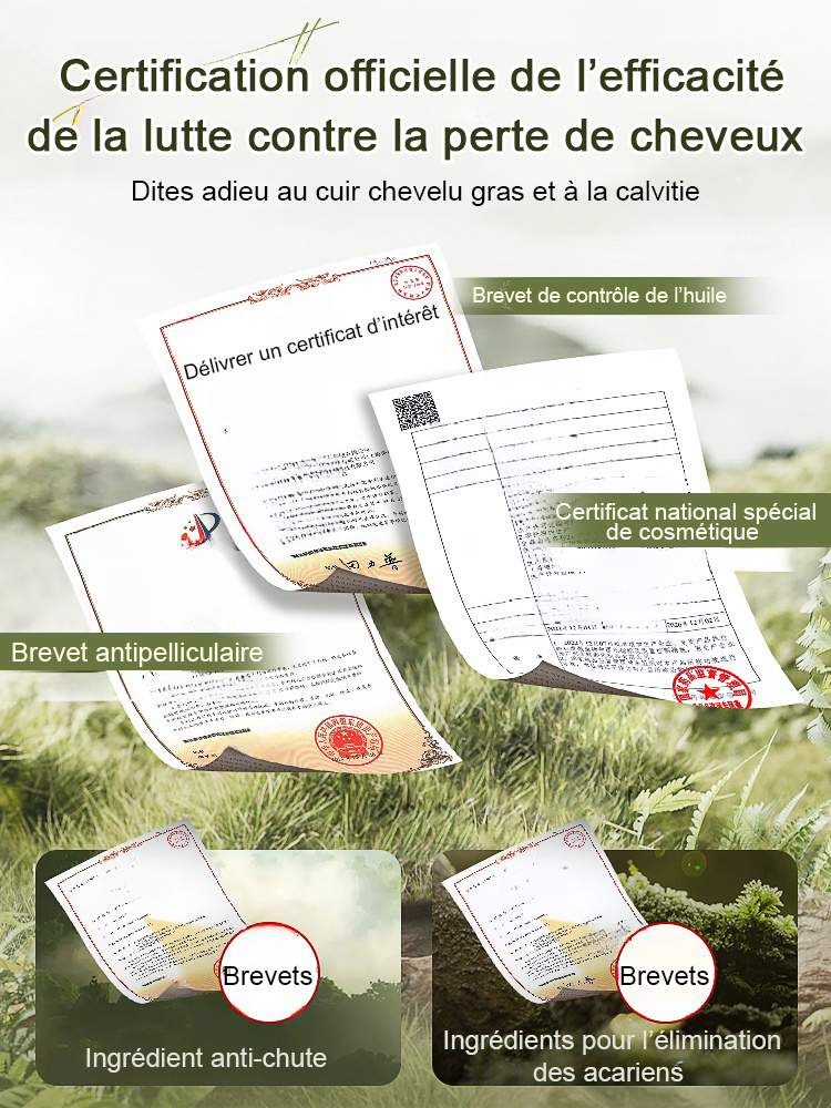 Hot Sale Ginger Plant Extract Anti-Hair Loss Hair Shampooing