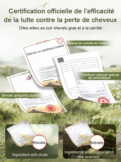 Hot Sale Ginger Plant Extract Anti-Hair Loss Hair Shampooing