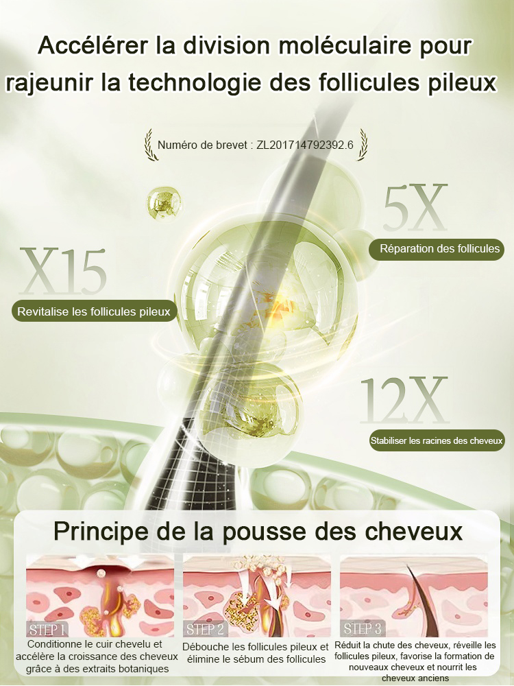 Hot Sale Ginger Plant Extract Anti-Hair Loss Hair Shampooing