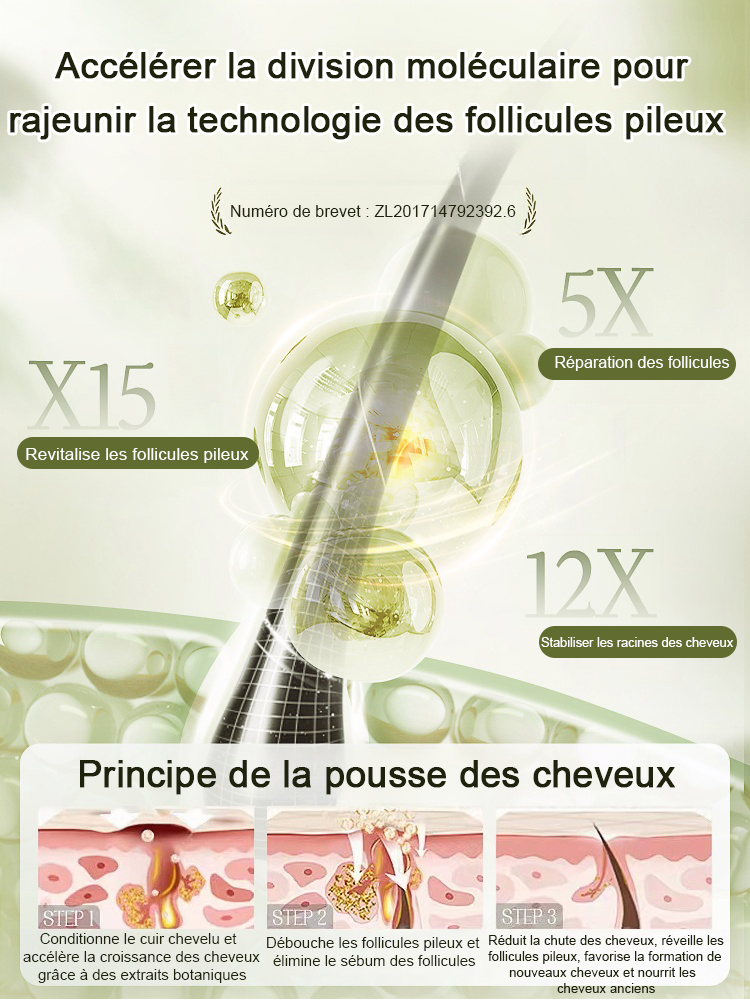 Hot Sale Ginger Plant Extract Anti-Hair Loss Hair Shampooing