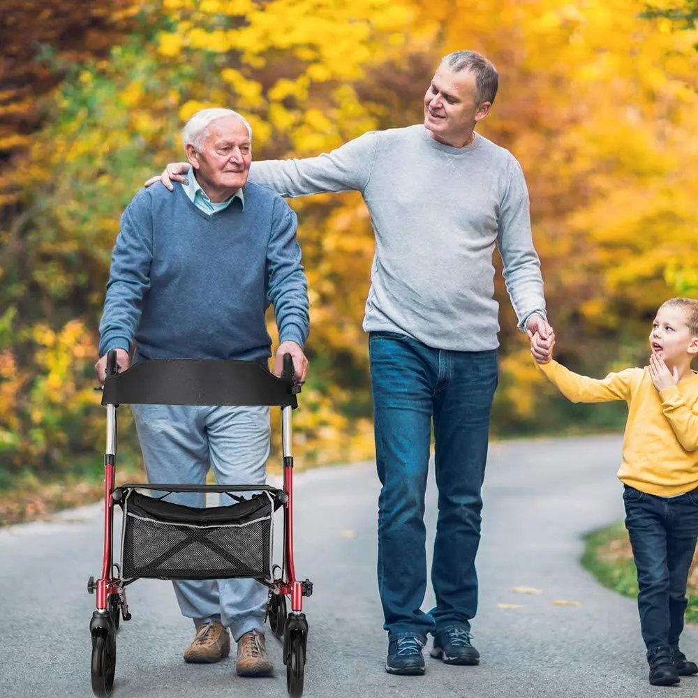 💝Last day to buy 2 and save 30% 💝Drive Medical Duet Dual Function Transport Wheelchair Walker Rollator