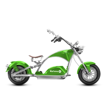 Electric motorcycle