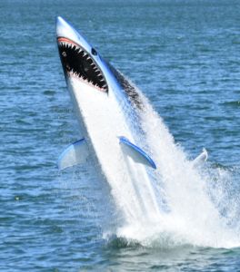🔥Shark Seabreacher