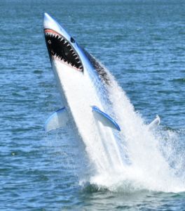 🔥Shark Seabreacher