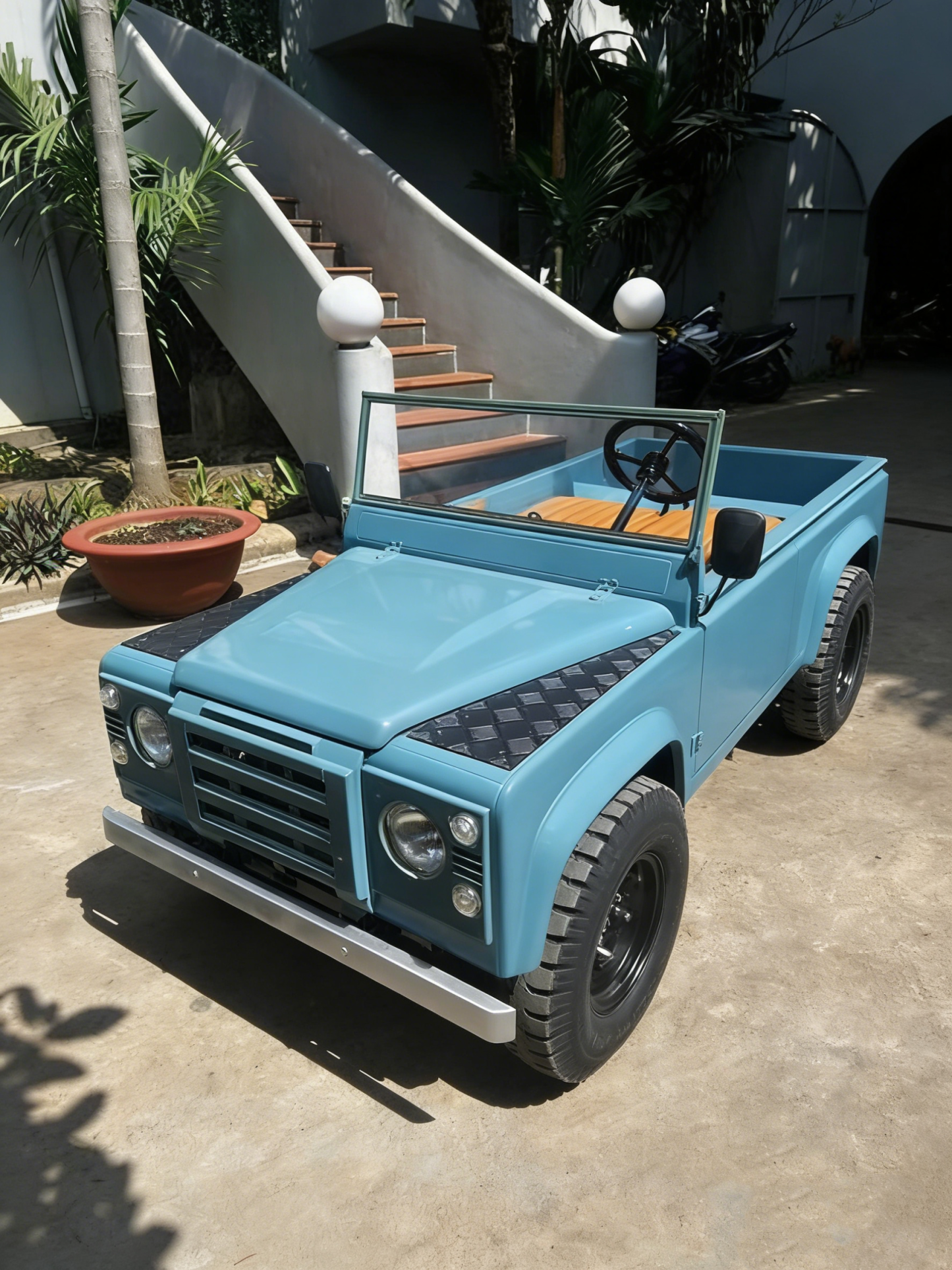 🏁Electric & Petrol Junior Off-Road Buggy