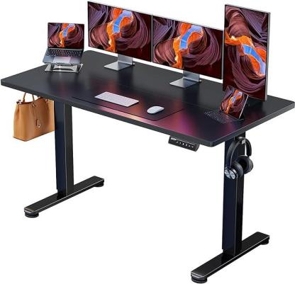 ErGear Electric Adjustable Standing Desk 48x24/55x28"Ergonomic Design w
