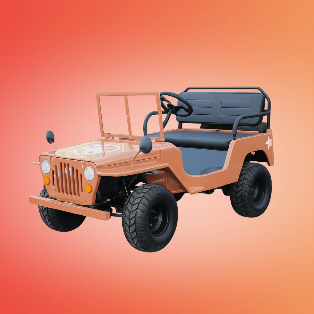 Willy Buggy （Mini Jeep Sale Ends Soon）