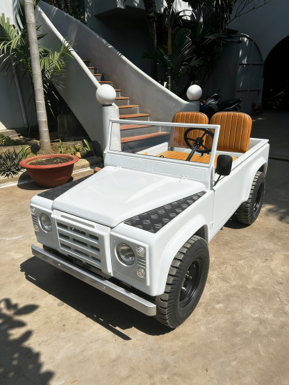 🏁Electric & Petrol Junior Off-Road Buggy