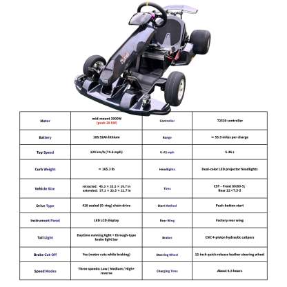 Zyliathor 3000W Mid-Mount Electric Racing Go-Kart