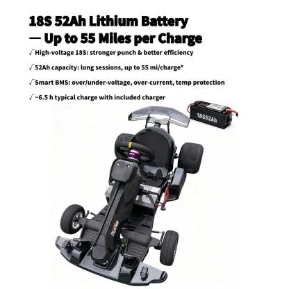 Zyliathor 3000W Mid-Mount Electric Racing Go-Kart