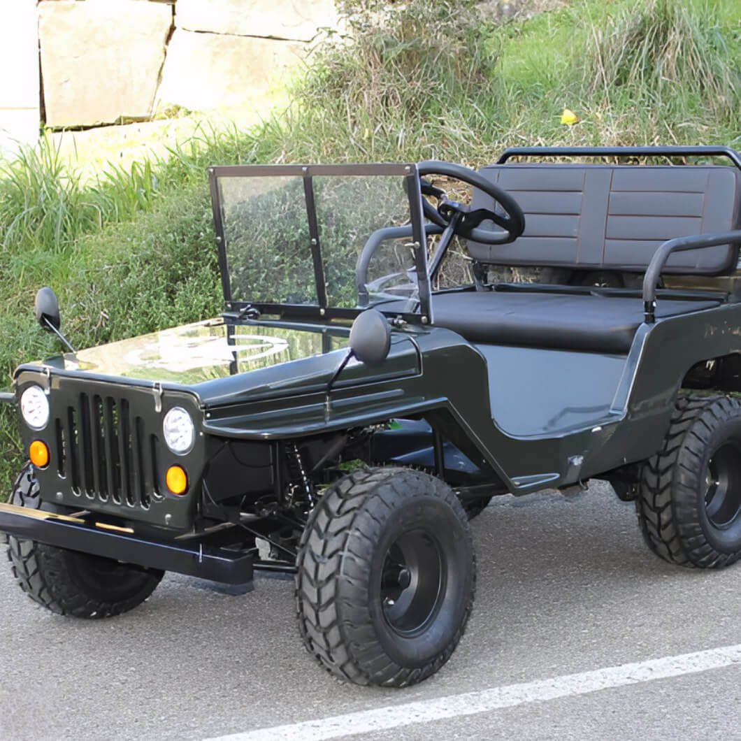 Willy Buggy （Mini Jeep Sale Ends Soon）