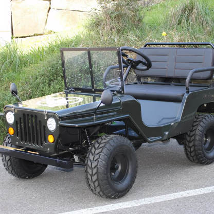 Willy Buggy （Mini Jeep Sale Ends Soon）