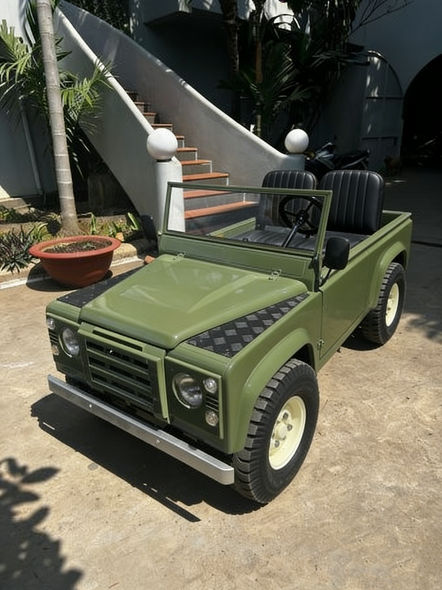 🏁Electric & Petrol Junior Off-Road Buggy