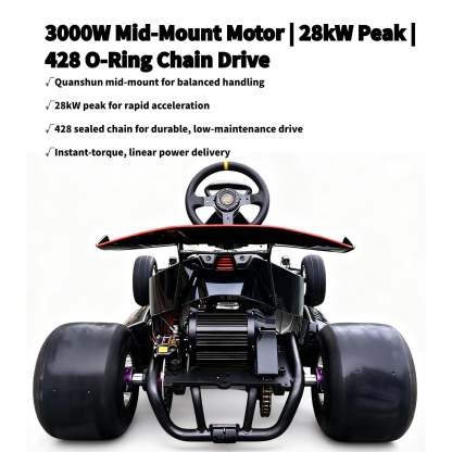 Zyliathor 3000W Mid-Mount Electric Racing Go-Kart