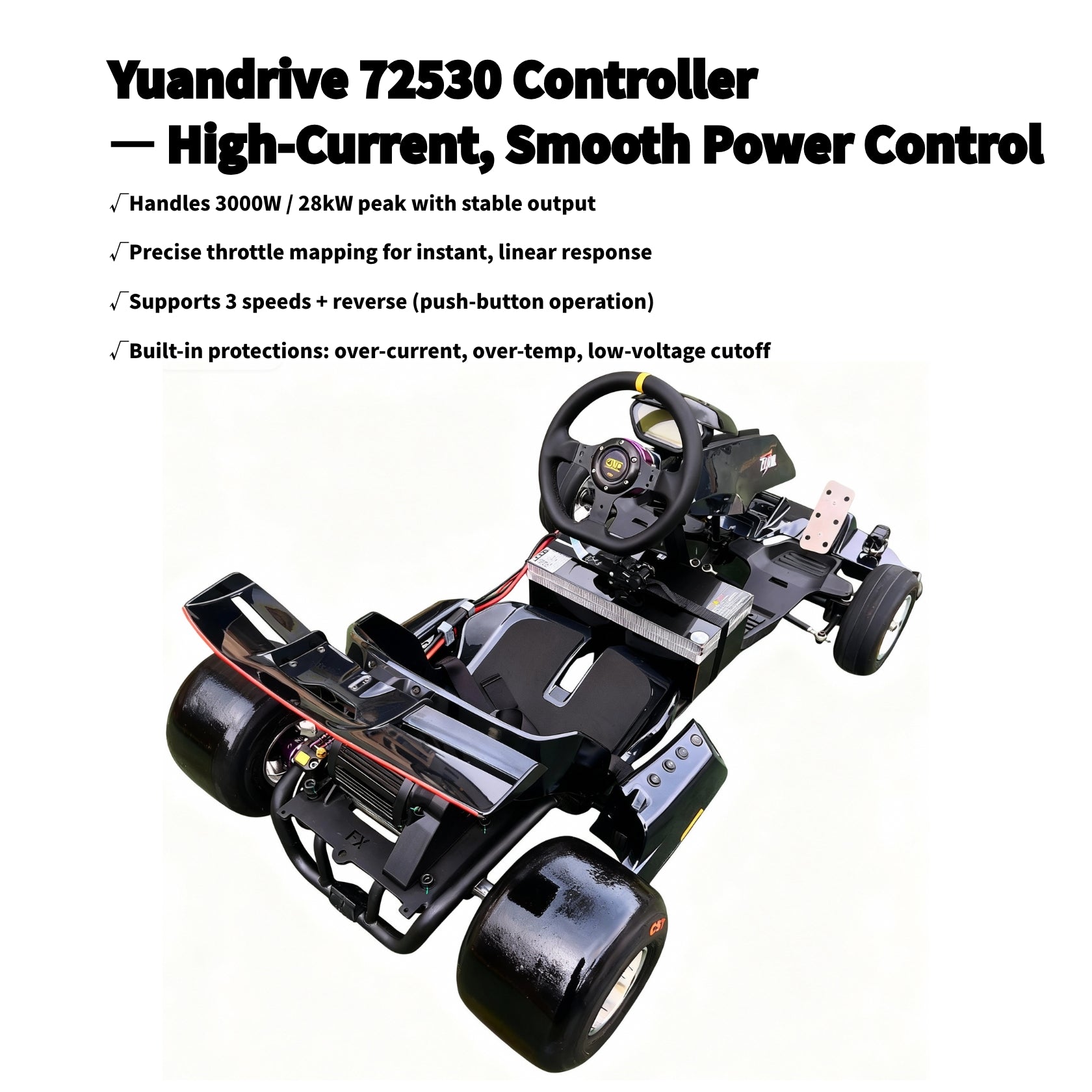 Zyliathor 3000W Mid-Mount Electric Racing Go-Kart