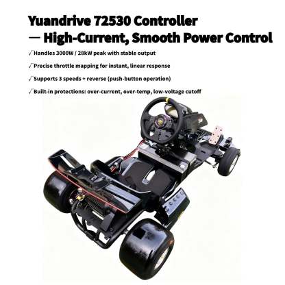 Zyliathor 3000W Mid-Mount Electric Racing Go-Kart