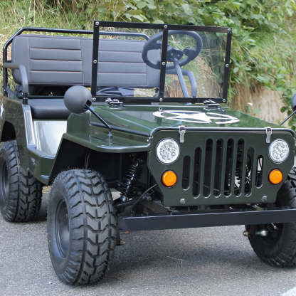 Willy Buggy （Mini Jeep Sale Ends Soon）