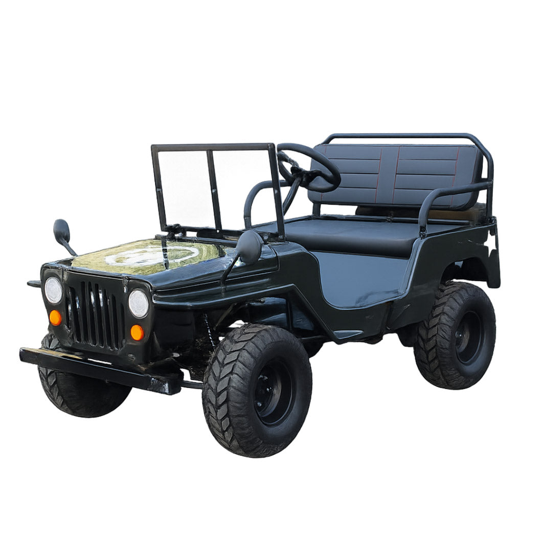 Willy Buggy （Mini Jeep Sale Ends Soon）