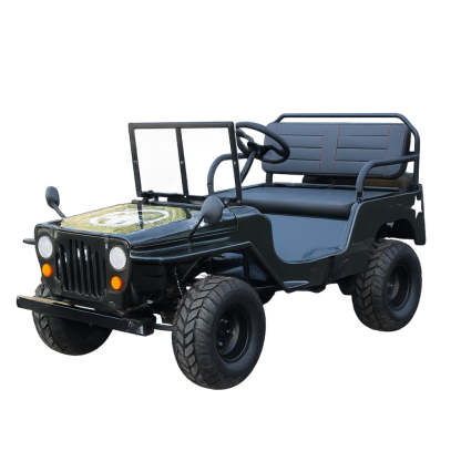 Willy Buggy （Mini Jeep Sale Ends Soon）