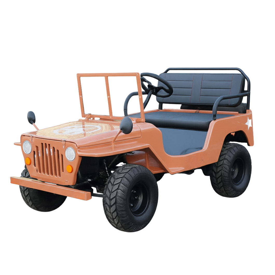 Willy Buggy （Mini Jeep Sale Ends Soon）