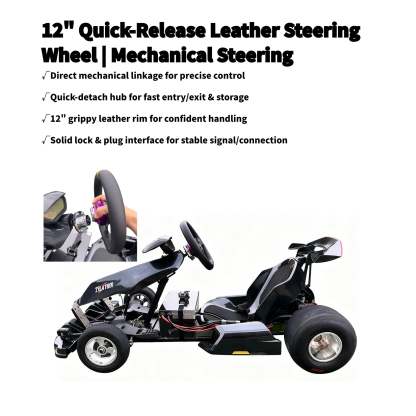 Zyliathor 3000W Mid-Mount Electric Racing Go-Kart