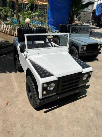 🏁Electric & Petrol Junior Off-Road Buggy