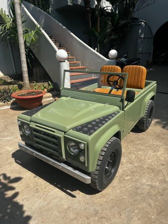 🏁Electric & Petrol Junior Off-Road Buggy