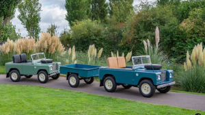 🏁Electric & Petrol Junior Off-Road Buggy