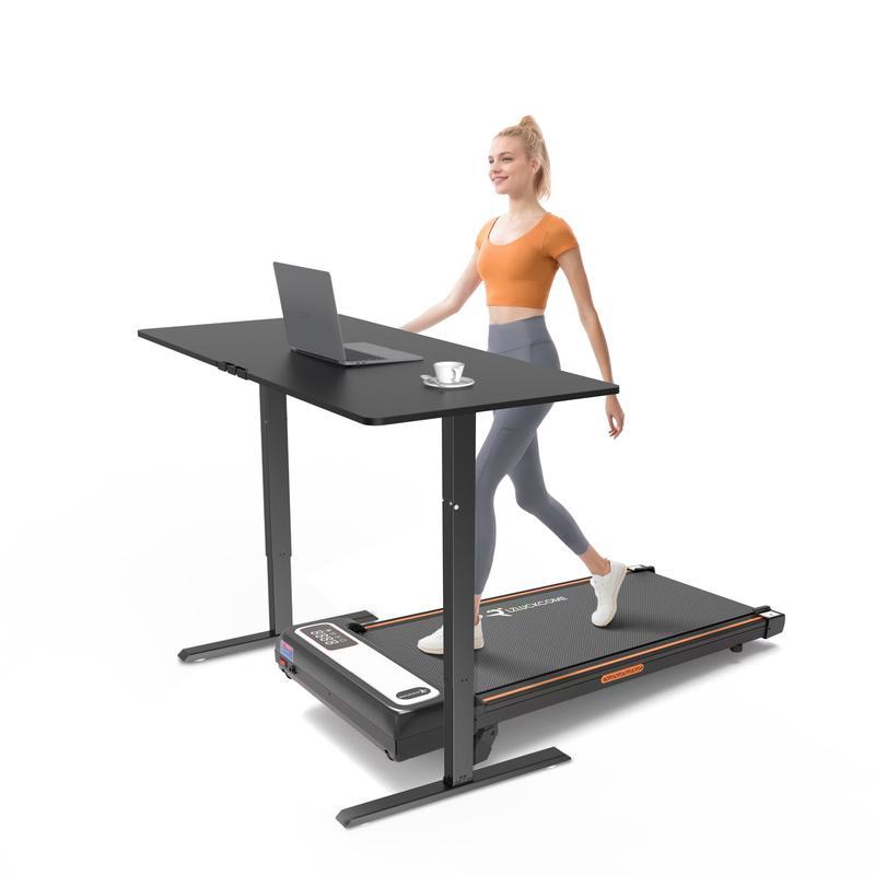 ErGear Electric Adjustable Standing Desk 48x24/55x28"Ergonomic Design w